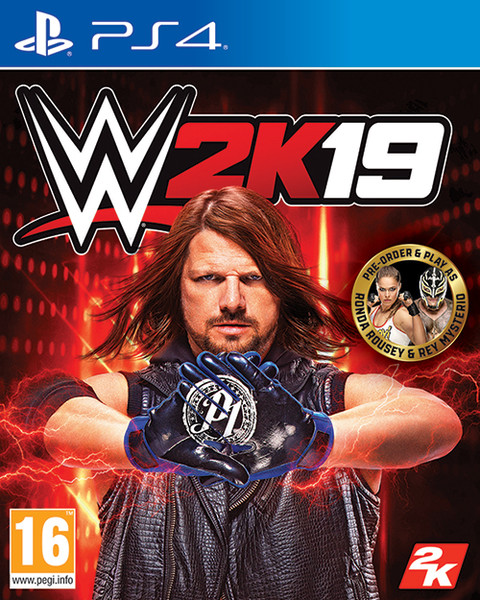 PS4 OYUN WWE 2K19 PS4 OYUN