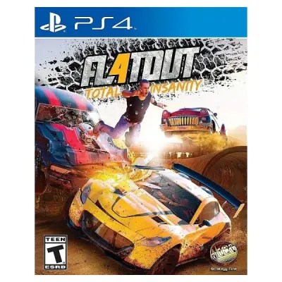 2.EL PS4 OYUN FLATOUT TOTAL INSANITY