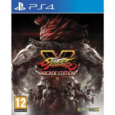 2.EL PS4 STREET FİGHTER ARCADE EDİTİON OYUN