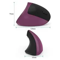 FUNWARTECH ERGONOMIC DİKEY WIRELESS MOUSE