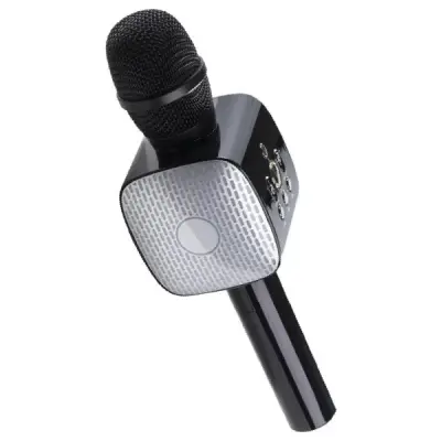 LINKTECH LBS-SM05 KARAOKE MİKROFON SİYAH
