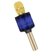 LINKTECH SM04 GOLD HEAD BLUETOOTH SPEAKER  SİYAH