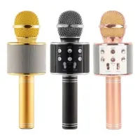 POLYGOLD PG-112 KARAOKE MİKROFON