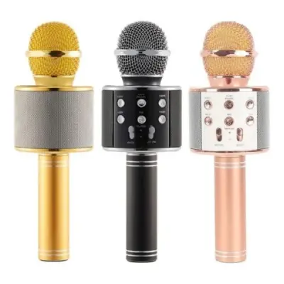 POLYGOLD PG-112 KARAOKE MİKROFON