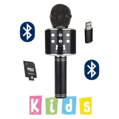 BLİC BLS-25 WIRELESS MICROPHONE KARAOKE