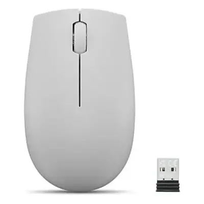 LENOVO 300 Kompakt Kablosuz Mouse Kutup Grisi