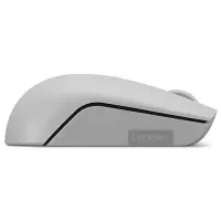 LENOVO 300 Kompakt Kablosuz Mouse Kutup Grisi