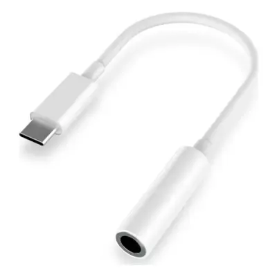 NETTECH JH-048 TYPE-C TO AUX DÖNÜŞTÜRÜCÜ NT-91552