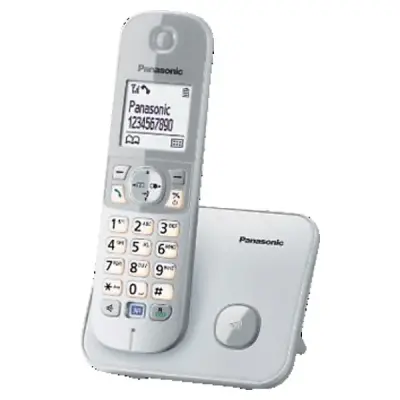 PANASONİC KX TG6811 DECT TELEFON GRİ