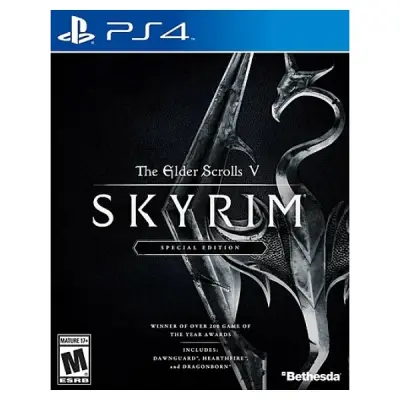 PS4 Elder Scrolls V: Skyrim Oyun