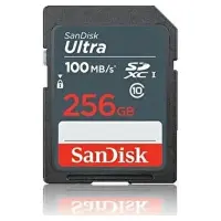 SanDisk Ultra SDSDUNR-256G-GN3IN Class 10 UHS-I U1 256 GB Hafıza Kartı
